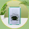  butterfly insect habit cage