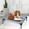 Elevated Pet Ded Cot