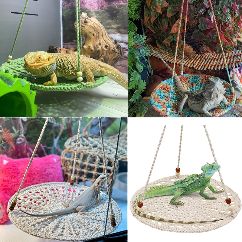 Lizard Hammock