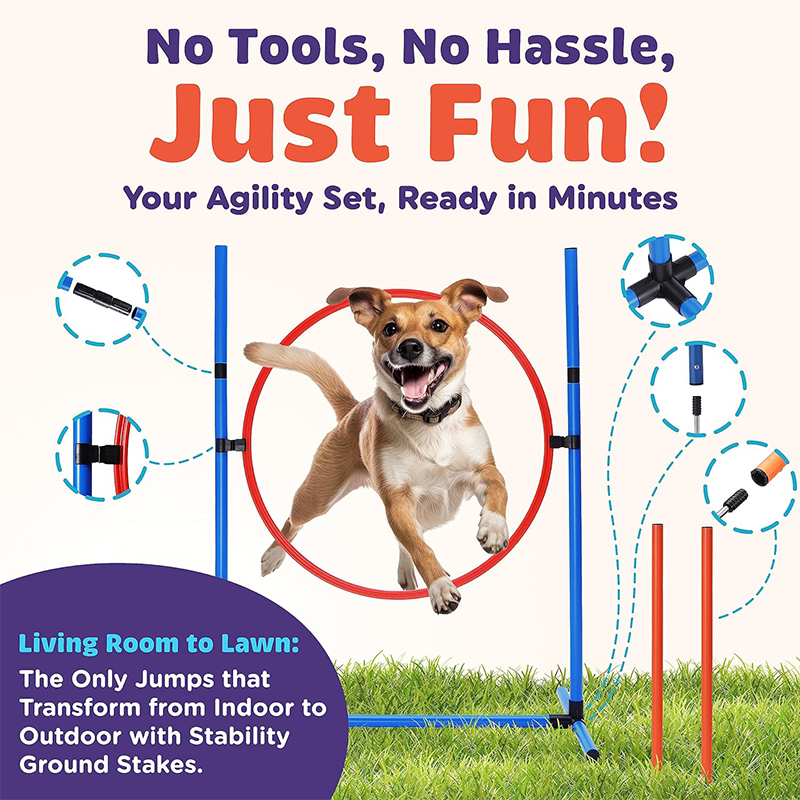  Dog Training Equipment Obstacle Courses 