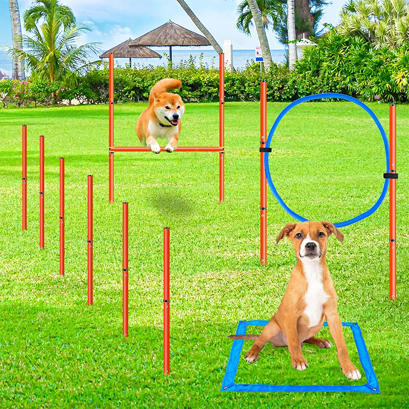 Training and Interactive Play Includes Dog Tunnel Dog Agility Training Equipment