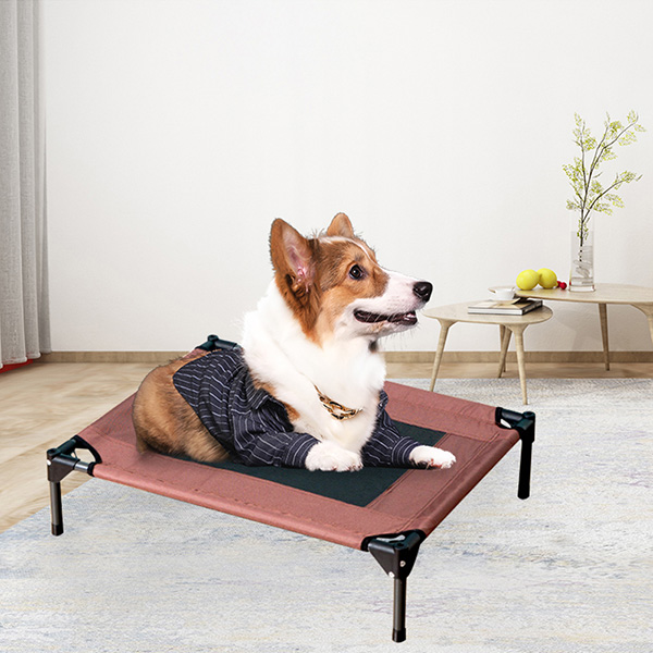 Elevated Pet Ded Cot