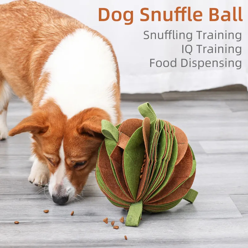 Foldable Design Sniffing Ball Easter Dog Toys