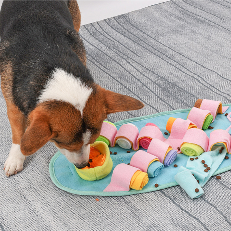 Skateboard Snuffle Mat