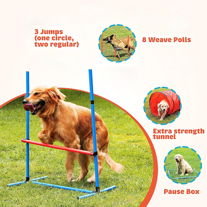  Dog Training Equipment Obstacle Courses 