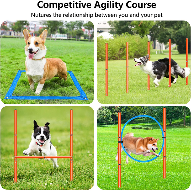 Free Combination Dog Agility Set 