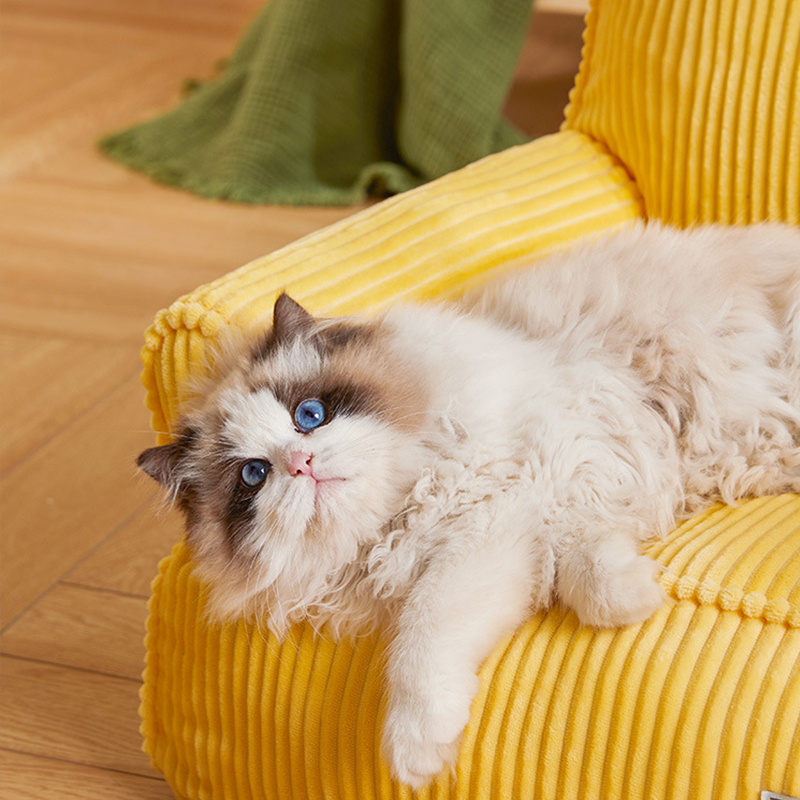 Corduroy Bean Bag Chair