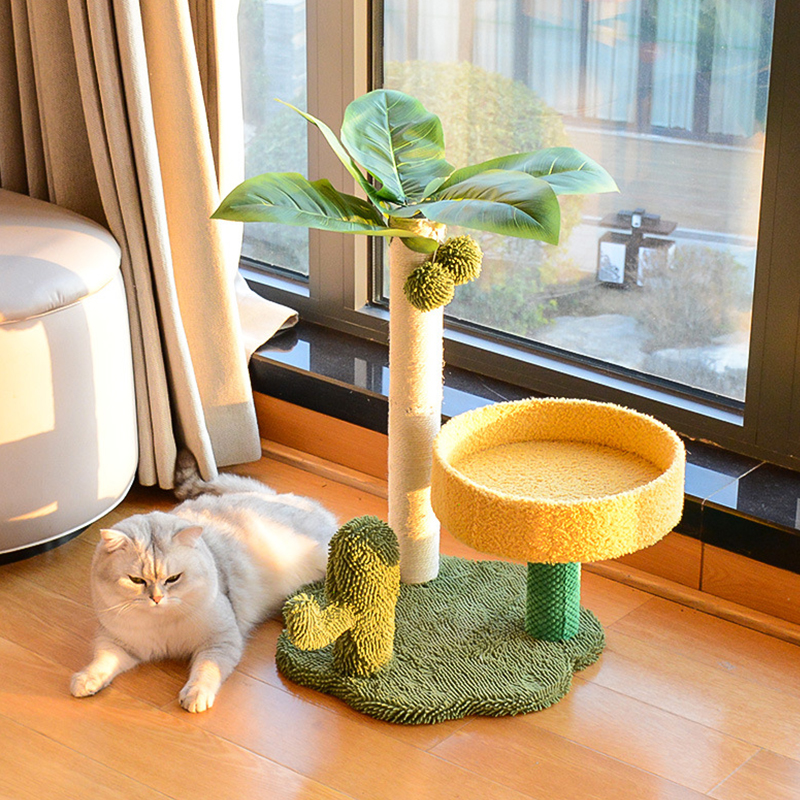 Cat Scratching Post for Kitten