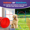  Dog Training Equipment Obstacle Courses 