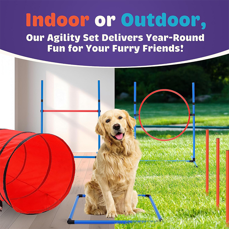  Dog Training Equipment Obstacle Courses 