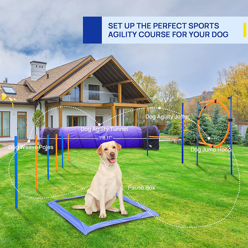 Agility Training Starter Kit for Doggie Pet Outdoor Games