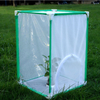  butterfly insect habit cage