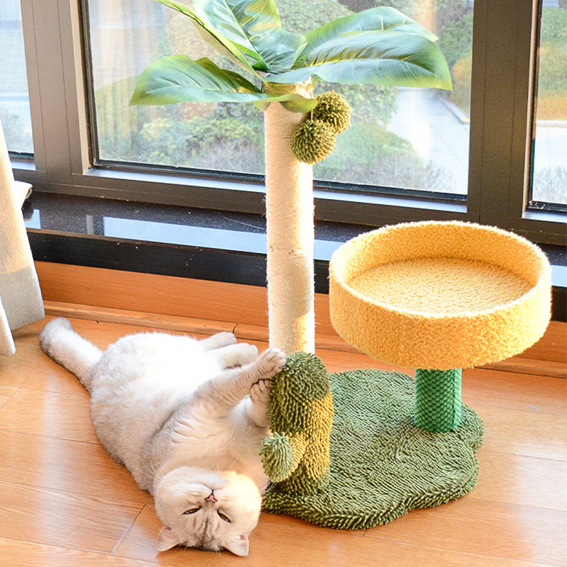 Cat Scratching Post for Kitten