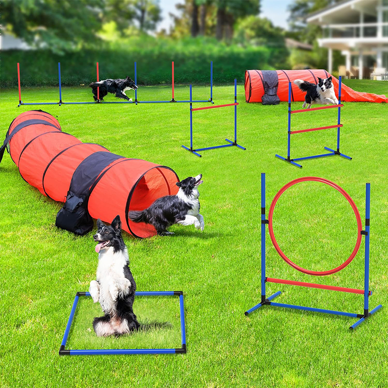 Training Kit Indoor Outdoor Game for Dogs with Agility Hurdle