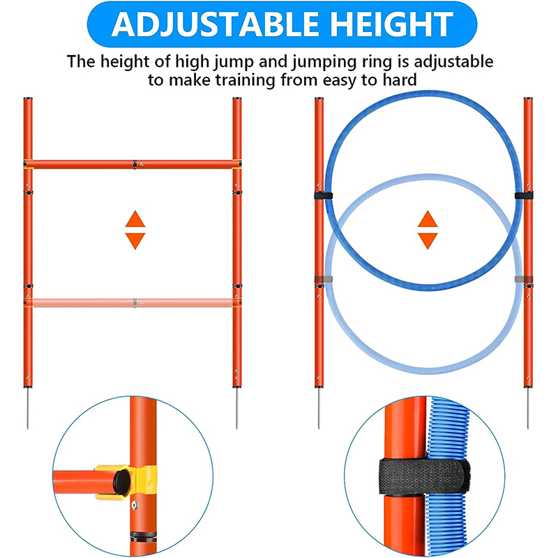 Training and Interactive Play Includes Dog Tunnel Dog Agility Training Equipment