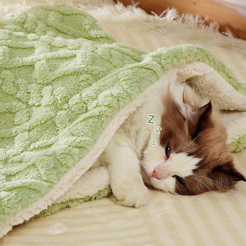 Solid Color Cat Warm Thickened Flannel Blanket 