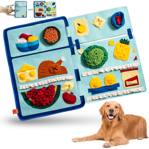 Pet Puzzle Training Mat 