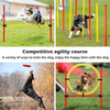 Pet Training Equipment Dog Agility Training Set 