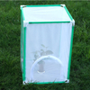  butterfly insect habit cage