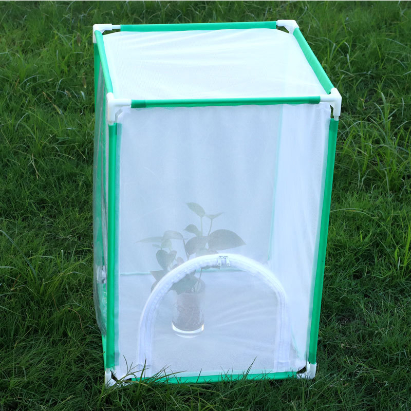  butterfly insect habit cage