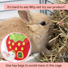 Strawberry Shape Hanging Feeder