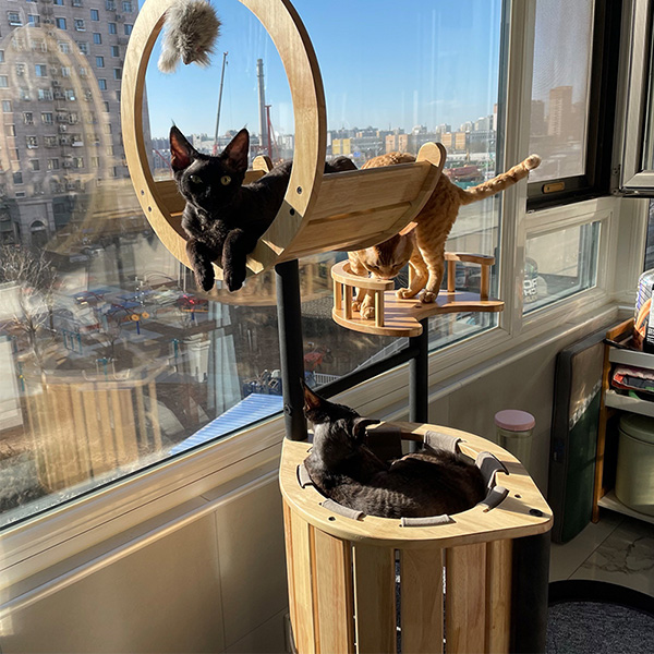 Wood Cat Tree