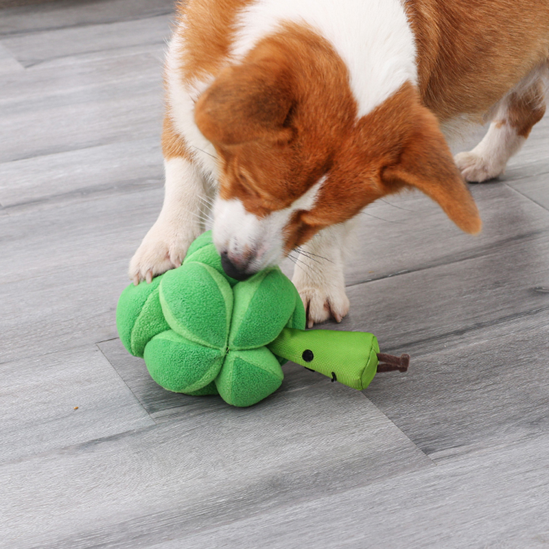 Artifact Pet Broccoli Puzzle Food Leakage Toy