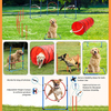  Dog Training Equipment Obstacle Courses 