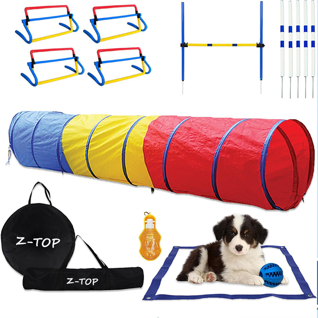 Indoor Outdoor Kitty Puppy Toys for Puzzle Exercising Hiding Training