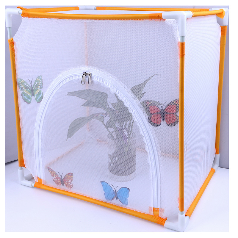 Insect Mesh Cage