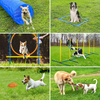 Practical Dog Tunnel Pet Tube Collapsible Play Toy