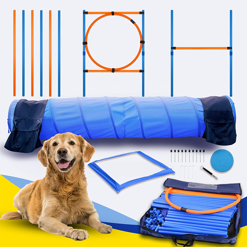 Agility Training Starter Kit for Doggie Pet Outdoor Games