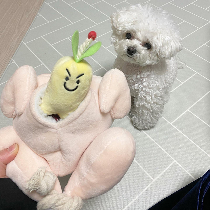 Funny Chicken Shaped Chew Toy