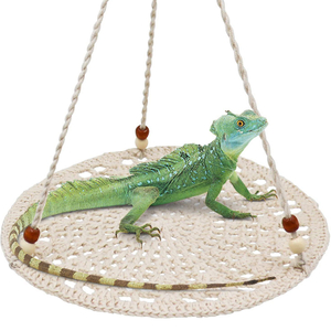 Lizard Hammock