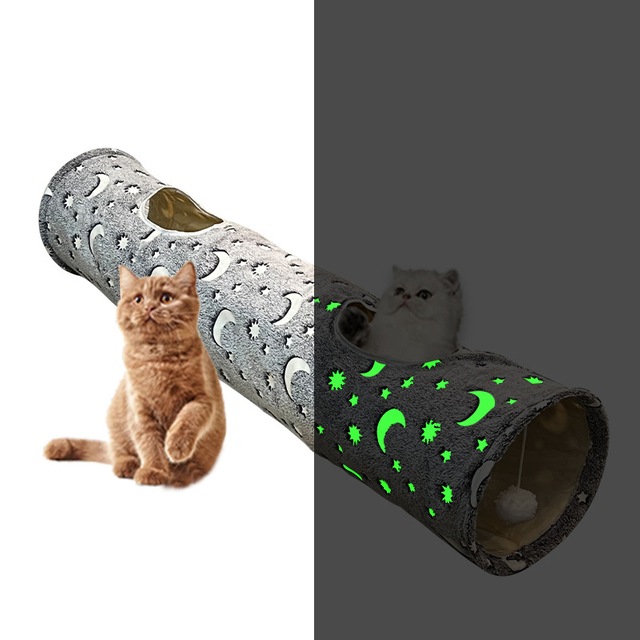 Cat luminous tunnel 