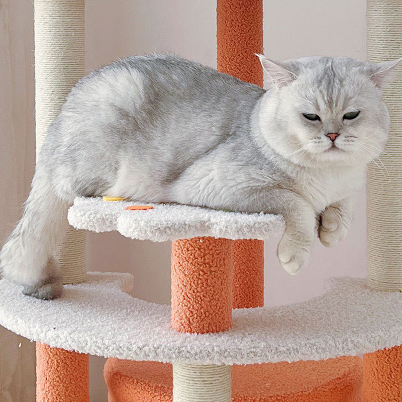 Cat Tree Climbing Playing Platform House