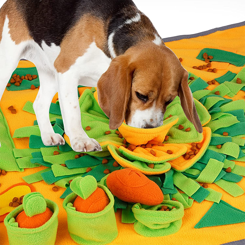 Stress Relief Sniffing Puzzle Feeding Toys