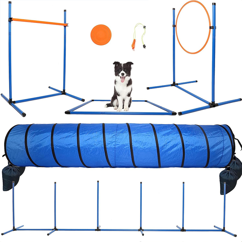  Dog Jumping Practice Agility Starter Kit