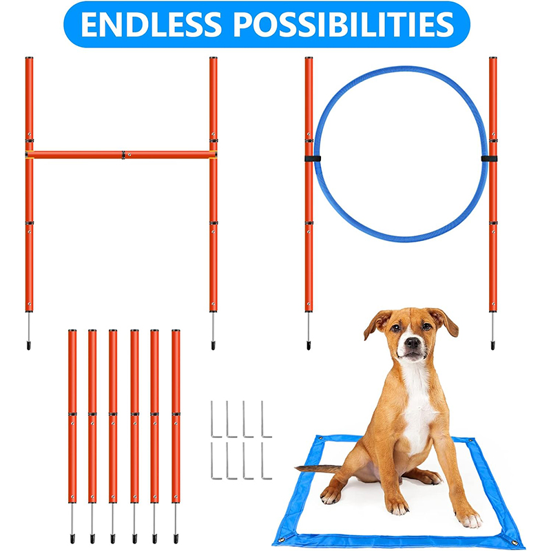 Training and Interactive Play Includes Dog Tunnel Dog Agility Training Equipment